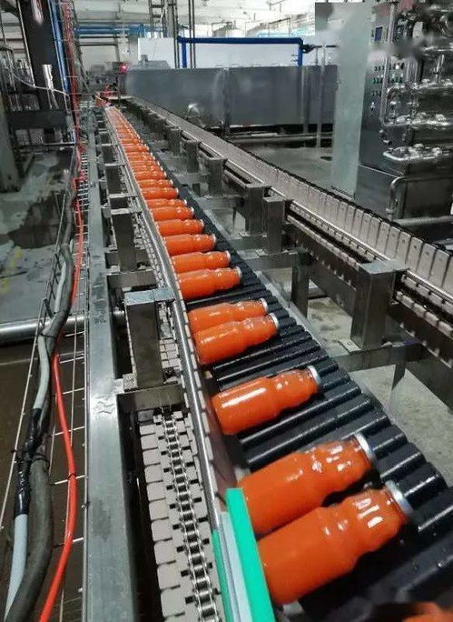 昌吉高新區 以精深加工引領產業升級，塑料化糞池助力綠色農業增長